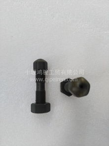 現(xiàn)貨東風(fēng)雷諾D5010477195搖臂調(diào)整螺栓總成 帶螺母設(shè)計的專業(yè)配件解析